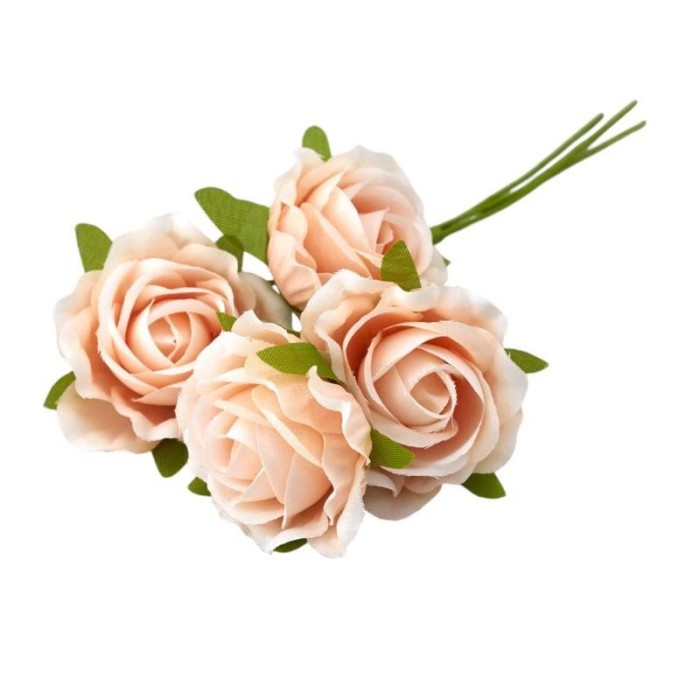 ROSA SFUMATA PESCA D4